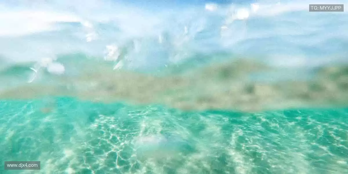 📱实时直播，比分秒报！💻随时随地，不错过每一个燃爆瞬间！